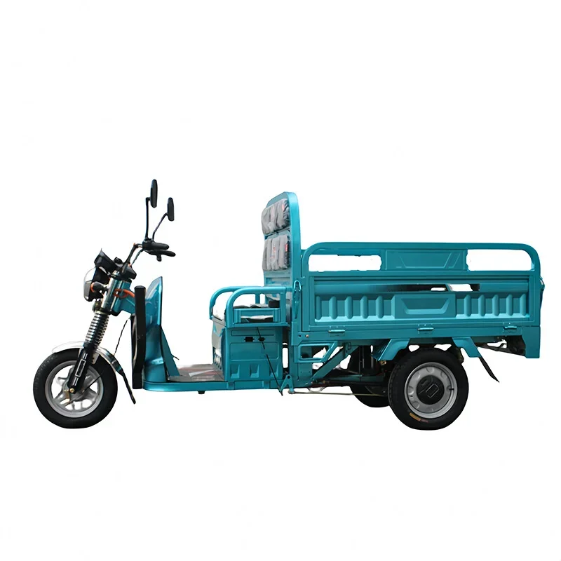 Farming Agriculture Project - -Household Electric Three Wheeled Truck Express