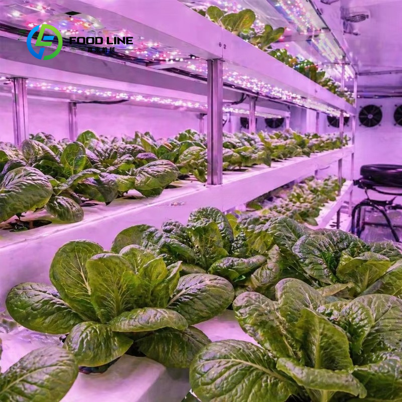 Hydroponic Container Farm for  - огляд і ціна Farming Agriculture Project