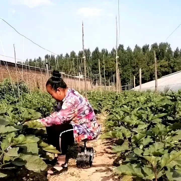 360 Degree Greenhouse Lazy Ben - огляд і ціна Agriculture Farming Degree