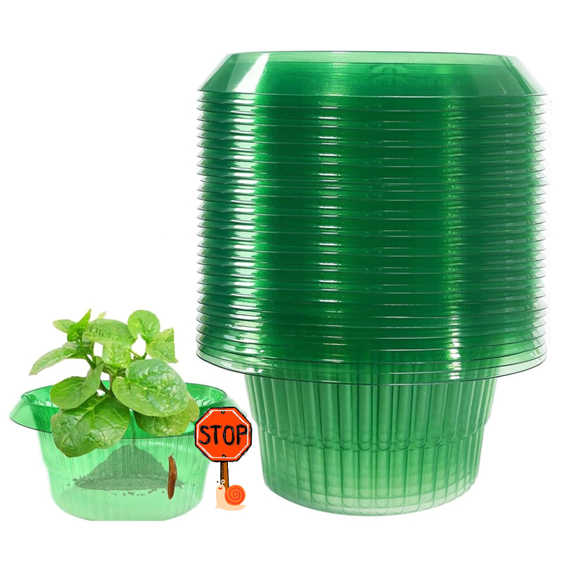 5-25Pcs Plants Slug Protection - огляд і ціна Vegetable Transplanter