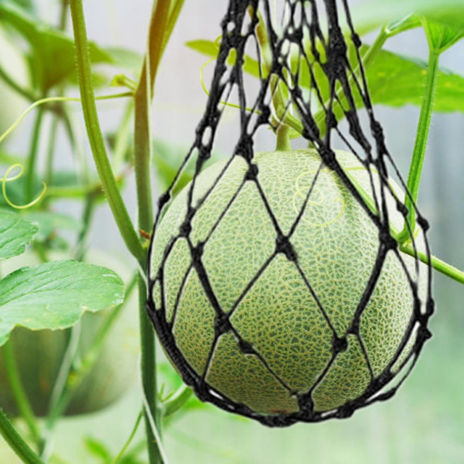 10pcs Watermelon Nets Garden V - огляд і ціна Agriculture Vertical Farming
