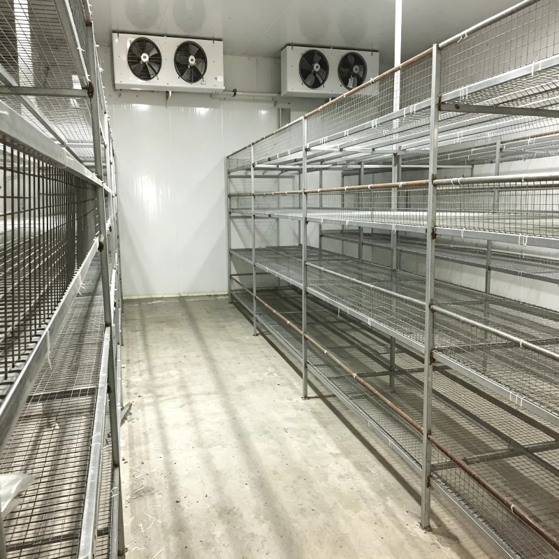 Hydroponic Container Farm with - огляд і ціна Farming Agriculture Project