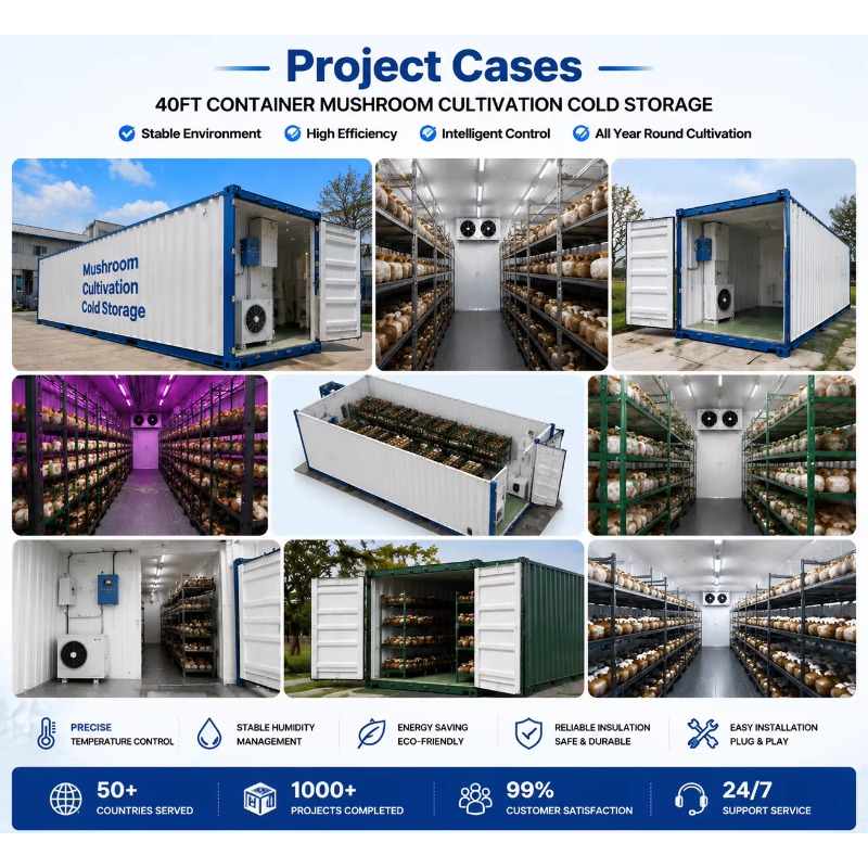 Hydroponic Container Farm with - огляд і ціна Farming Agriculture Project