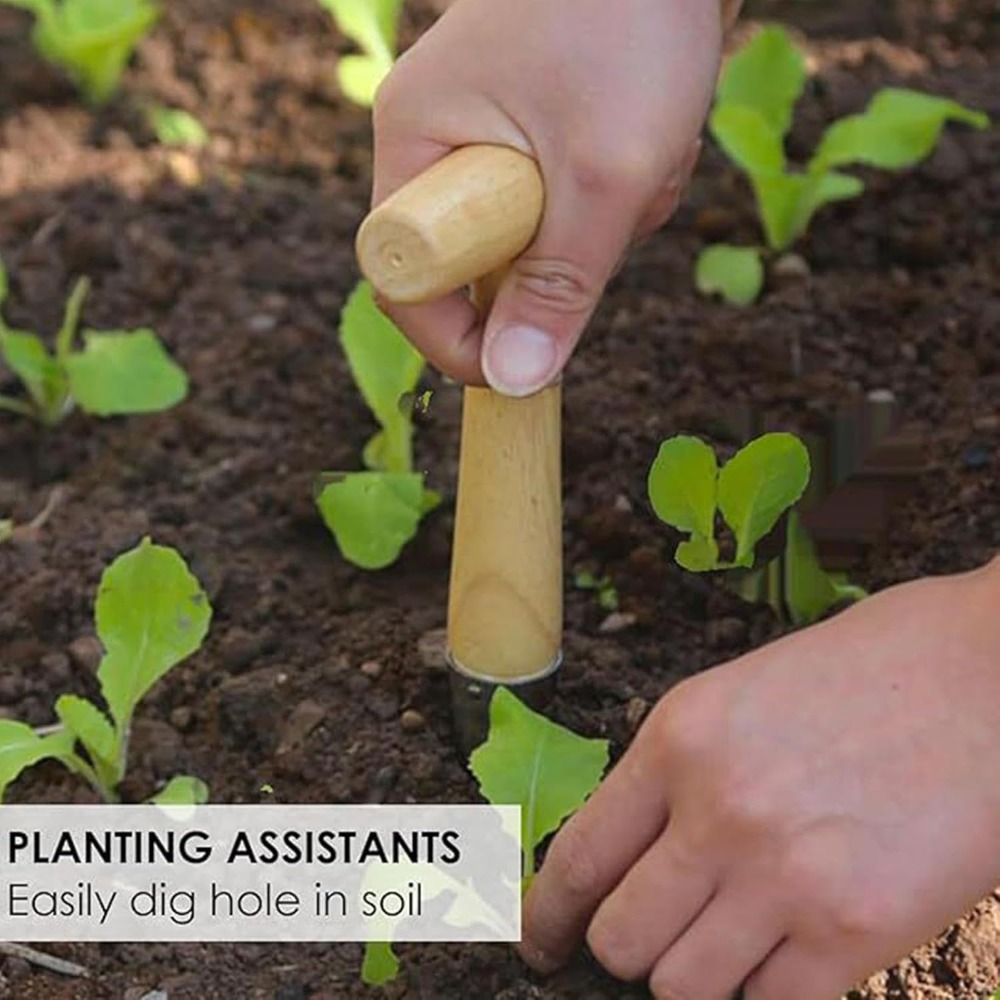 Vegetable Garden Seedling Tran - огляд і ціна Vegetable Transplanter