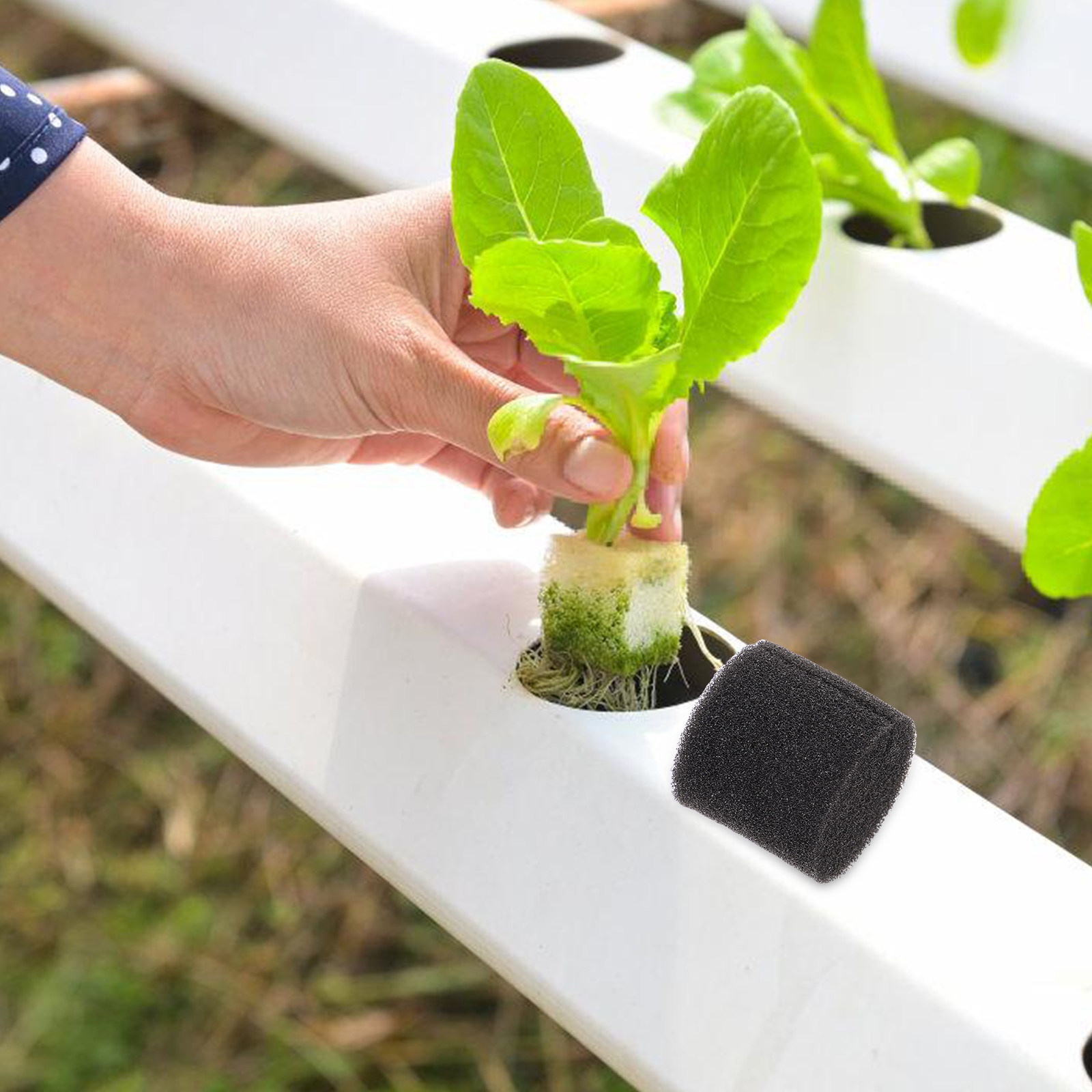 100Pcs Hydroponic Sponge Growi - огляд і ціна Vegetable Transplanter