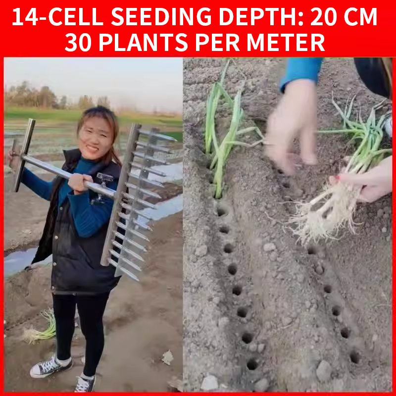Onion Planter, Rice Transplant - огляд і ціна Vegetable Transplanter