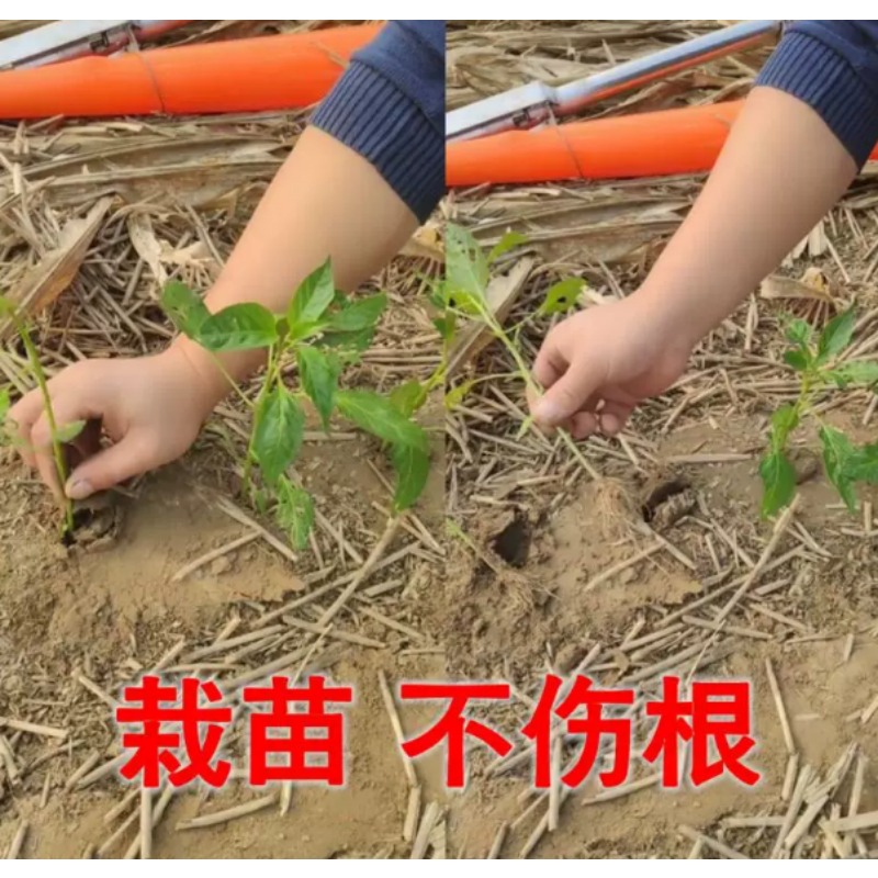 Agricultural Seedling Transpla - огляд і ціна Vegetable Transplanter