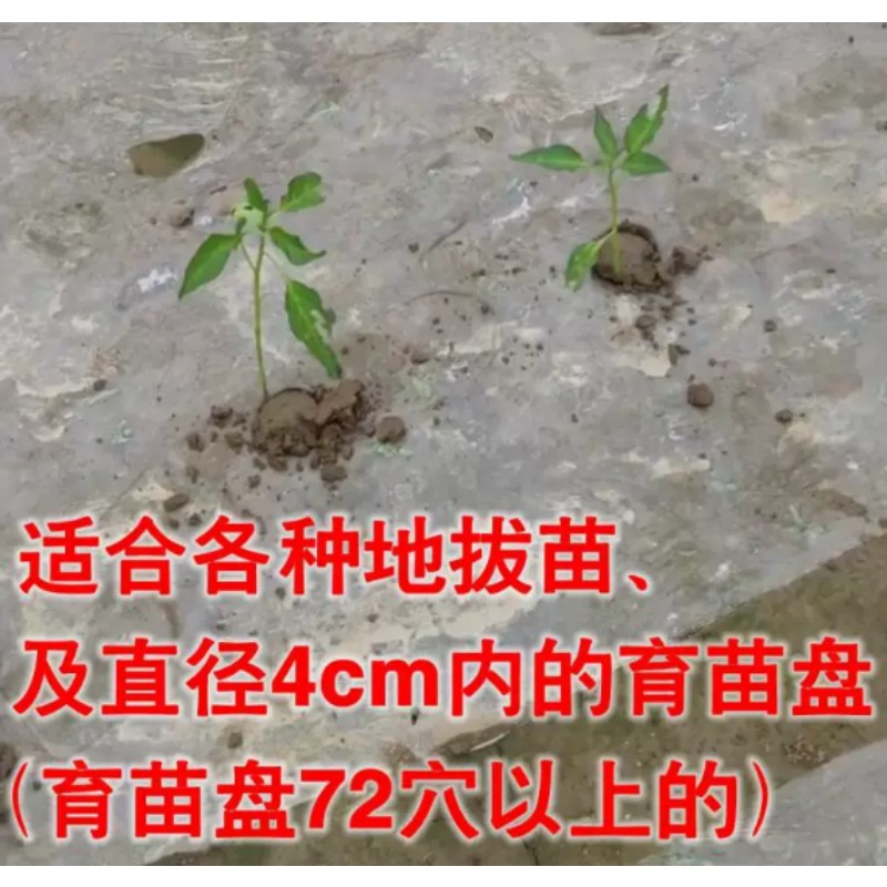 Agricultural Seedling Transpla - огляд і ціна Vegetable Transplanter